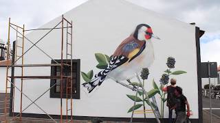 Nature is Home: Goldfinch Mural