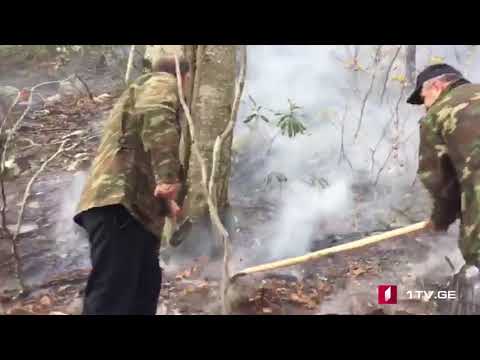 წაჩხურუს ტყეში ხანძრის სალიკვიდაციო სამუშაოები მიმდინარეობს