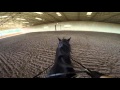 GoPro video dressage ride