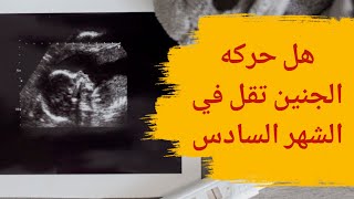 هل حركة الجنين تقل في الشهر السادس