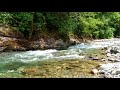 Calming Forest River. Relaxing Mountain Stream, Nature Sounds. (10 Hours). White Noise for Sleeping.