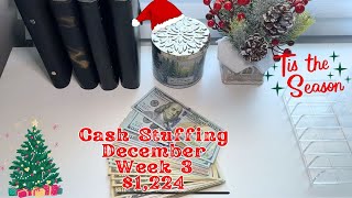 DECEMBER WEEK 3 - CASH STUFFING $1,224 - FULL TIME TRAVEL NURSE INCOME