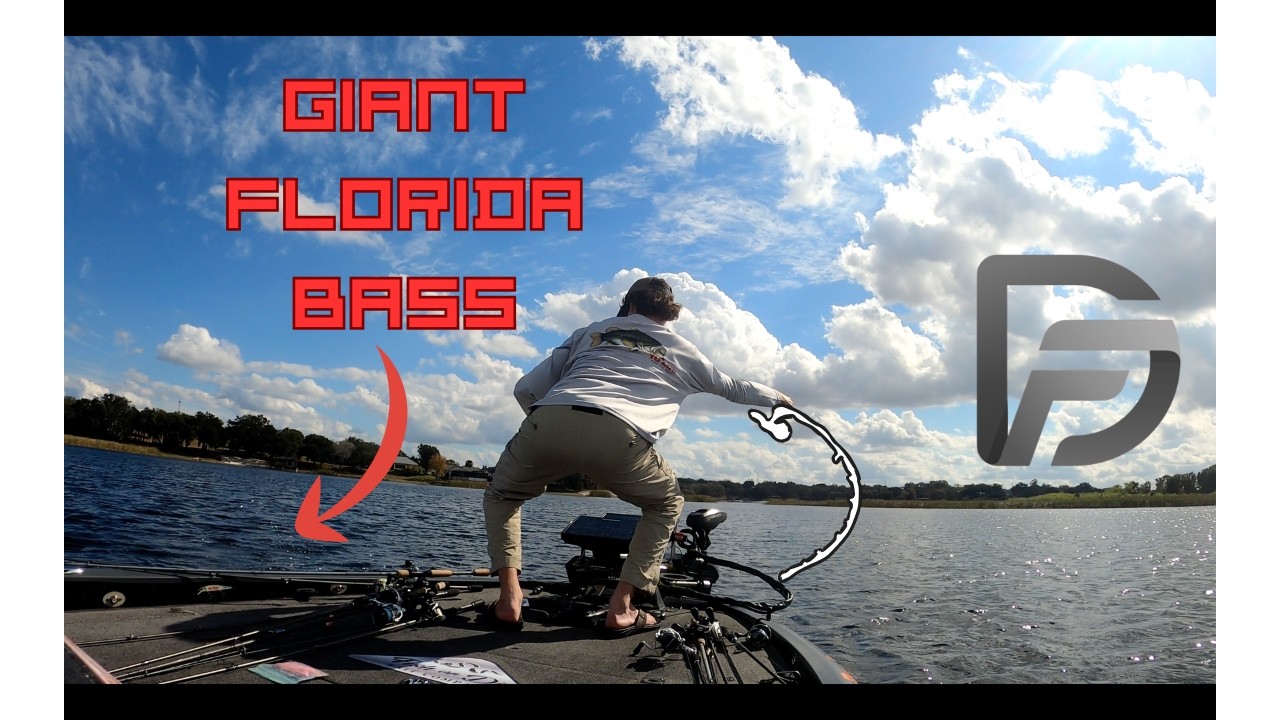 Bass Fishing SECRET Florida Lake (MEGA BAG)