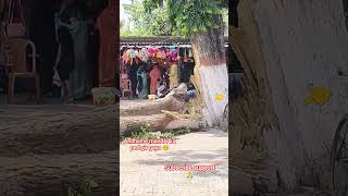 Andhi ke ped gir gaya 🥺#shortsfeed #masum#sa#edit#explore#youtubeshorts#shortvideo#trending#viral