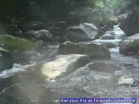 Snorkeling in the Smoky Mountains Midnight Hole Tr...