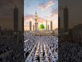 Mustafa Mustafa ❣️ #naat #islamic #shortsfeed