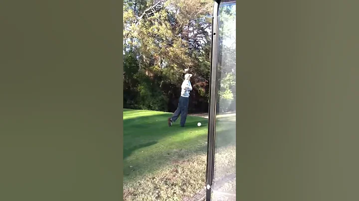 Another golf swing from robert Freese