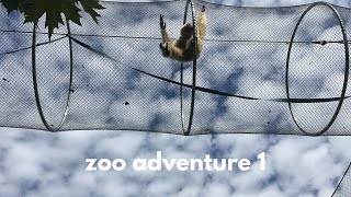 a really beautiful day at zoo knoxville :)