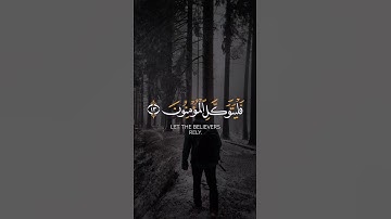 الله لا إله إلا هو وعلى الله فليوتكل المؤمنون 🤍 | سورة التغابن | القارئ شريف مصطفى | #القرآن_الكريم