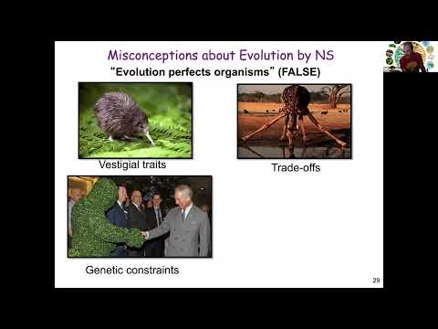 Common Misconceptions About Evolution by Natural Selection
