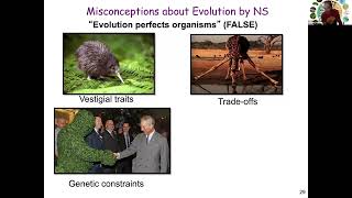 Famous Common Misconceptions About Evolution by Natural Selection Profile