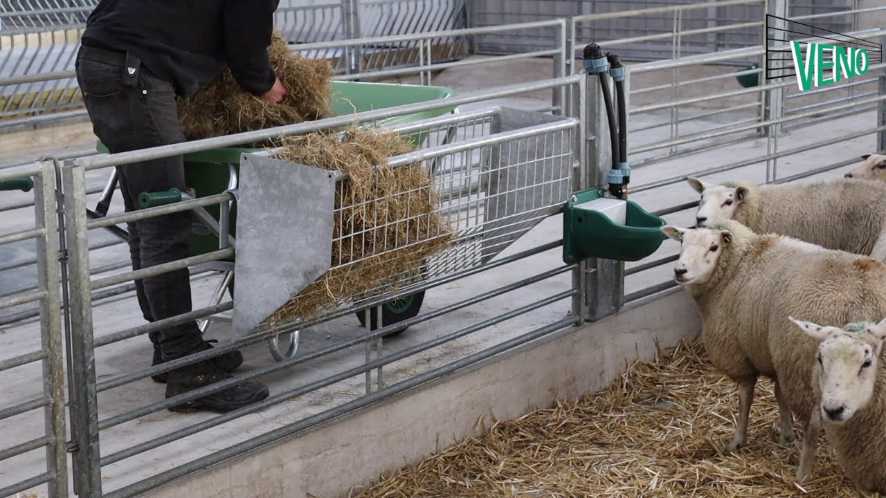 Hanging Hay Rack for Sheep and Goats - YouTube