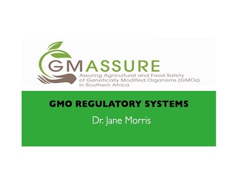 GMO Regulatory Sytems