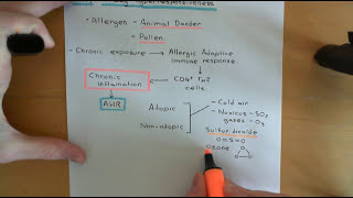 Asthma and Antiasthmatic Drugs Part 1