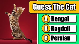 How Many Cat Breeds Can You Guess? screenshot 5