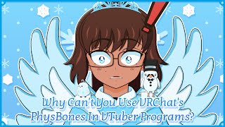 Why Can't You Use VRChat's PhysBones In VTuber Programs?