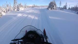 38 Trail With Sandman