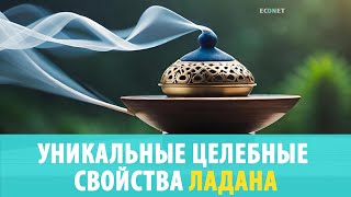 УНИКАЛЬНЫЕ ЦЕЛЕБНЫЕ СВОЙСТВА ЛАДАНА