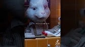 日本語字幕 ラルフを救え Save Ralph あなたの3分で未来が変わります 動物実験 Youtube 日本語字幕 ラルフを救え Save Ralph あなたの3分で未来が変わります 動物実験 Youtube