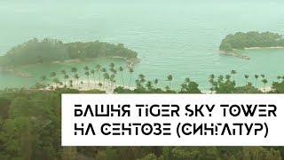 Башня Tiger Sky Tower в Сингапуре