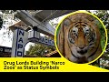 The Origins of &#39;Narco Zoos&#39; Among Drug Lords