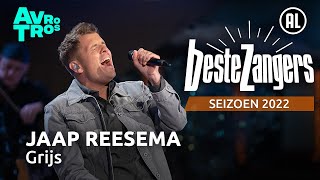 Miniatura de vídeo de "Jaap Reesema - Grijs | Beste Zangers 2022"