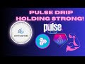 Pulse Drip Holding Strong!