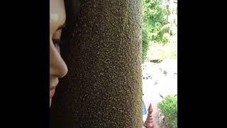 Sapthathi Lovemiss You Sapthathi Aarathi Sojan