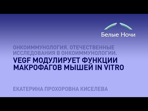 VEGF модулирует функции макрофагов мышей in vitro VEGF модулирует функции макрофагов мышей in vitro