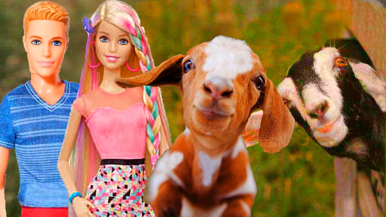 Barbie and Ken go to the Petting Zoo 