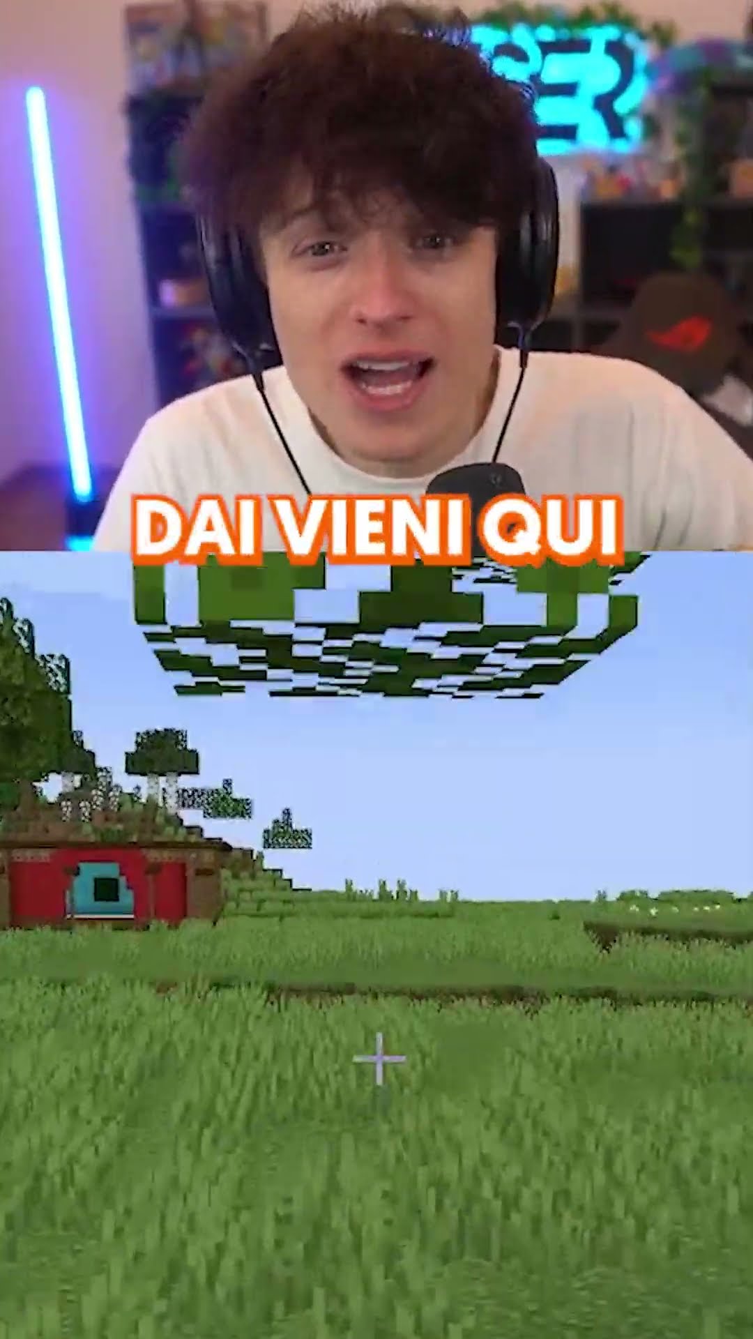 QUESTO CRICETO HA QUALCHE PROBLEMA