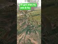सर्दी की हरियाली #nature #song