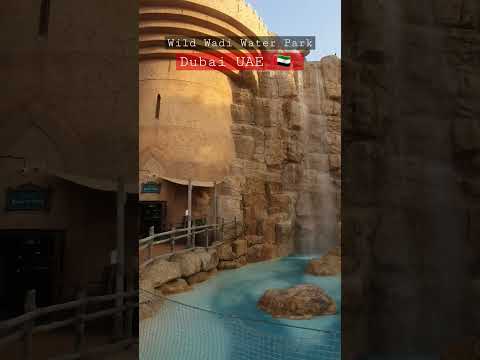 Wild Wadi Water Park | Dubai | UAE 🇦🇪 #dubai #uae #beauty #waterpark #waterfall