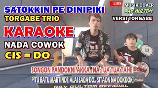 KARAOKE SATOKKIN PE DINIPIKI || NADA STANDART COWOK - CIS = DO - Sudah Ada Izin Jasman Butar Butar