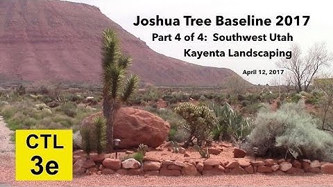 CTL 3E - Joshua Tree Baseline videos 2017 - pt 4 SW Utah Kayenta landscaping