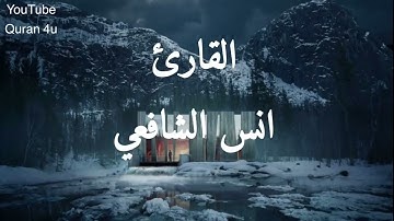 تلاوة هادئة تريح القلب والاعصاب بصوت القارئ انس الشافعي 😴💙
