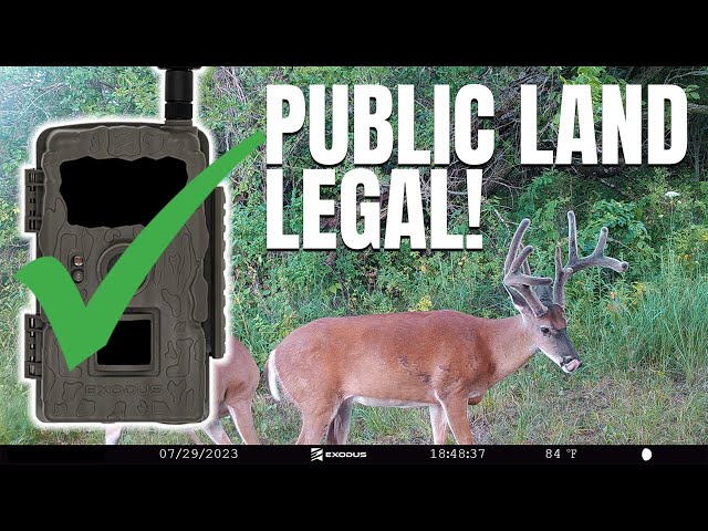 Is It Legal to Put Trail Cameras on Public Land: Know the Facts