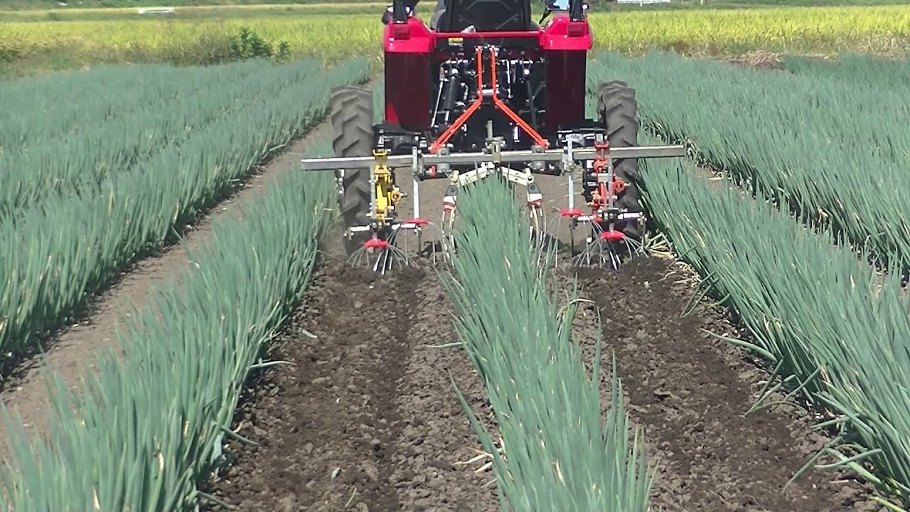MV170+キュウホウ 長ネギ除草(大口)