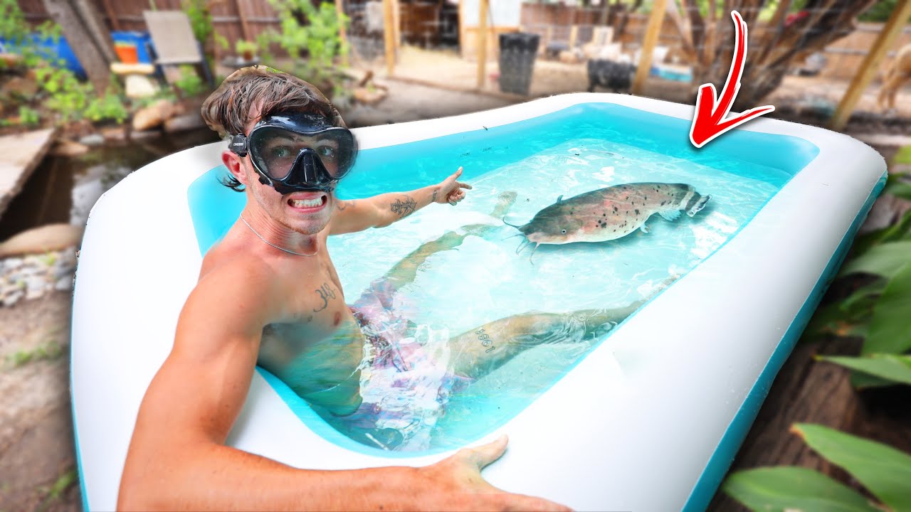 Swimming in POOL with ELECTRIC CATFISH - My Biggest Mistake 