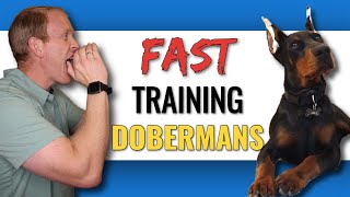 Training a Doberman to Understand Your Commands
