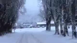 Las Bandurrias Coyhaique.