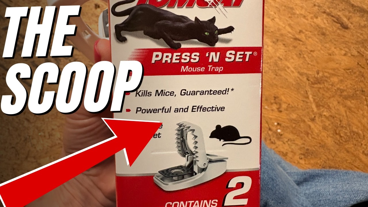 The SCOOP - Easy to set mouse traps
