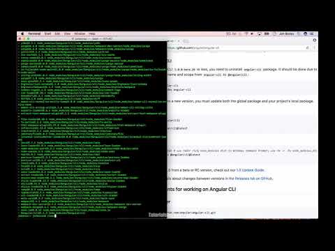 How to Update Angular CLI