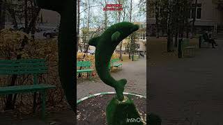 Бобруйск. Санаторий "Шинник". Bobruisk. Sanatorium "Shinnik".
