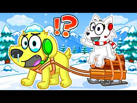Snowi MOVES BACK HOME in Roblox..
