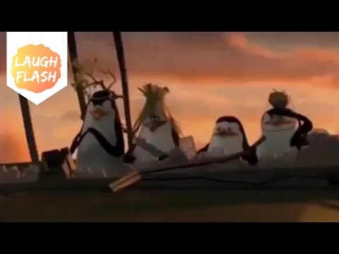 PENGUINS OF MADAGASCAR MEME w/ Kowalski 🔥🔥😂 I'm Gonna Say The N Word