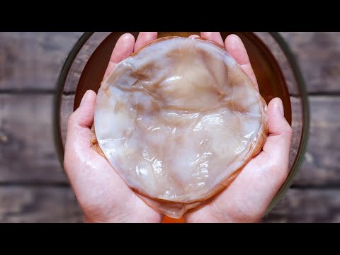 Video: Warum Kombucha gut für dich ist?