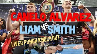 Saul Canelo Alvarez vs Liam Smith ..best liver punch