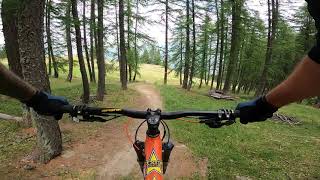 Bikepark Pra Loup \ red carpet