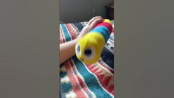 Poor rainbow #slitherio